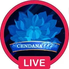 cendana777 Versi Terbaru: Apa yang Baru?
